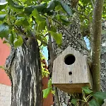 Casa Castanhas - Cinfaes, Viseu 펜션 *