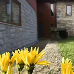 Casa Castanhas - Cinfaes, Viseu Cinfães