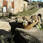 Nyaraló Casa Castanhas - Cinfaes, Viseu *