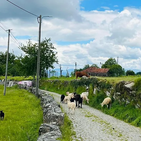 Holiday home Casa Castanhas - Cinfaes, Viseu Cinfaes