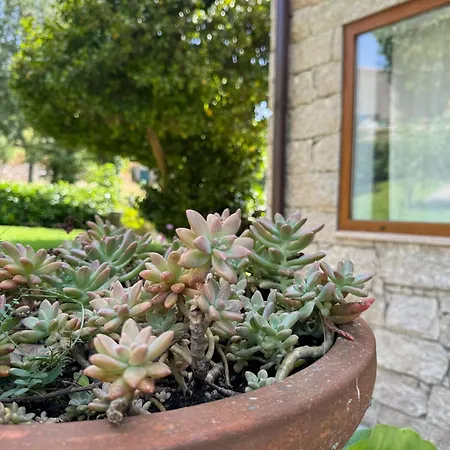 Casa Castanhas - Cinfaes, Viseu *