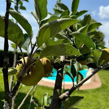 Casa Castanhas - Cinfaes, Viseu