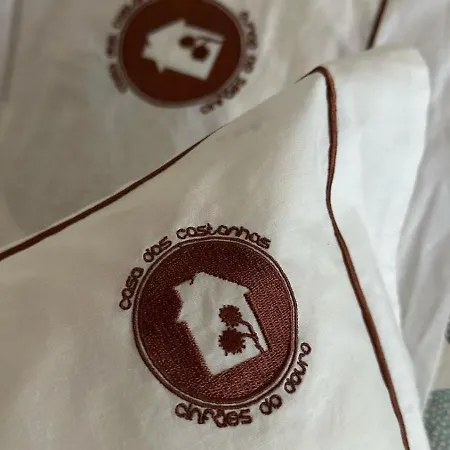 Casa Castanhas - Cinfaes, Viseu 辛方伊什