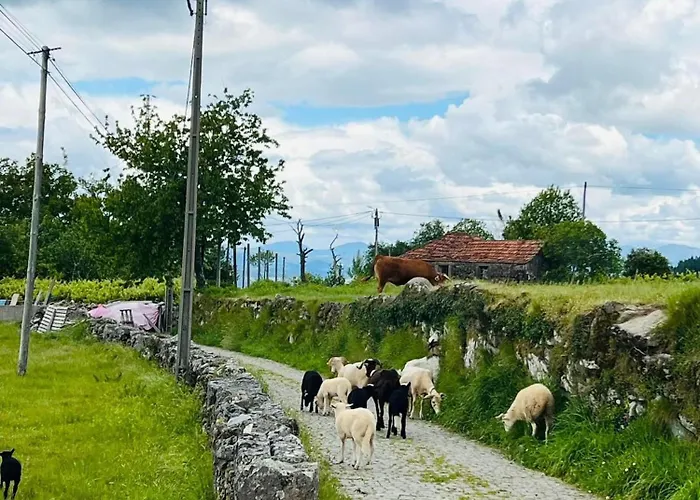 Nyaraló Casa Castanhas - Cinfaes, Viseu Cinfães