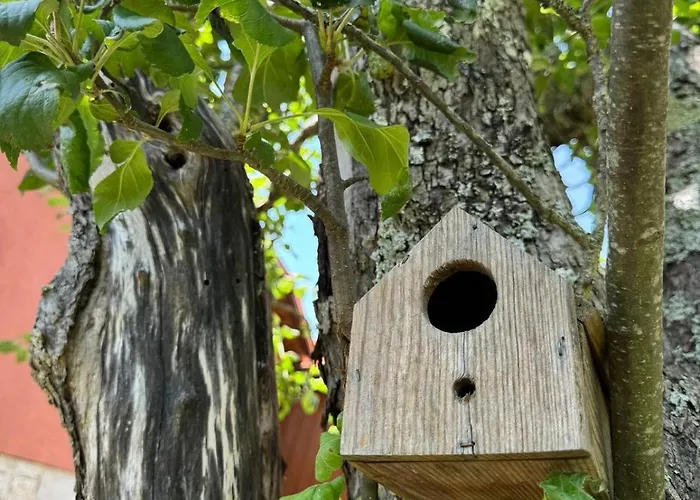 Casa Castanhas - Cinfaes, Viseu Nyaraló *