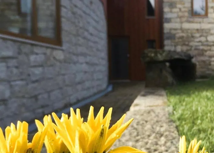 Casa Castanhas - Cinfaes, Viseu Синфайнш