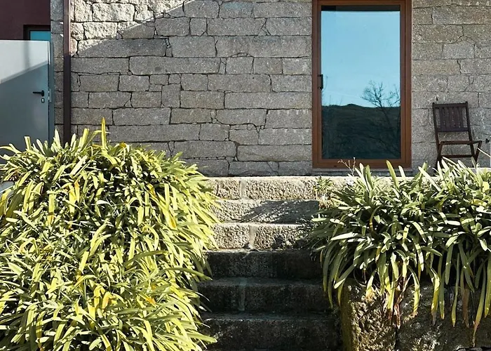 Casa Castanhas - Cinfaes, Viseu