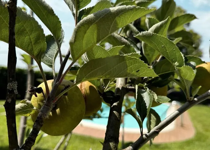 Casa Castanhas - Cinfaes, Viseu Ferienhaus *