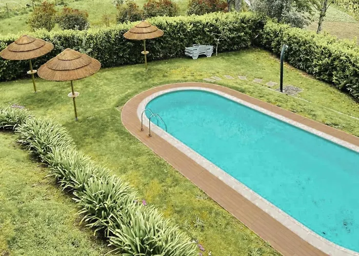 Casa Castanhas - Cinfaes, Viseu